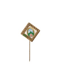 Vereinsmeisternadel 2026 in silber